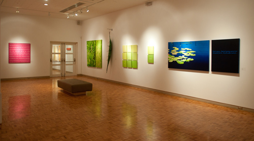 Installation shot of the 'When the Garden Speaks' exhibition at WKP Kennedy Gallery