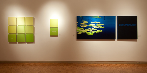 Installation shot of the 'When the Garden Speaks' exhibition at WKP Kennedy Gallery