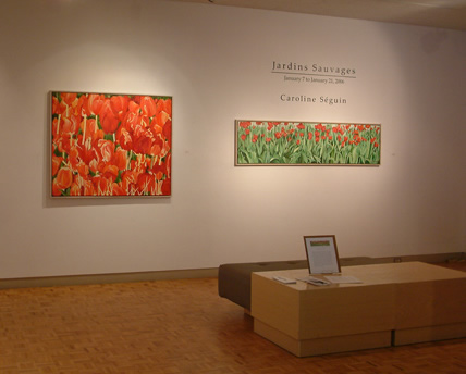 Installation shot of Caroline Seguins 'Jardins Sauvages' exhibition at WKP Kennedy Gallery