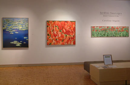 Installation shot of Caroline Seguins 'Jardins Sauvages' exhibition at WKP Kennedy Gallery