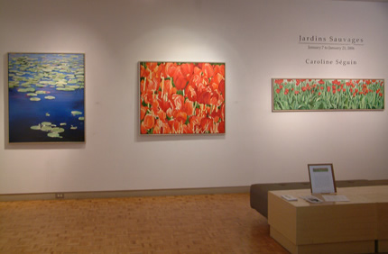 Installation shot of Caroline Seguins 'Jardins Sauvages' exhibition at WKP Kennedy Gallery