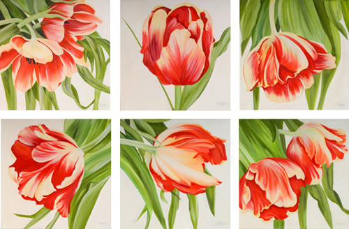 Tulip Study